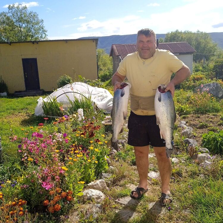  31968437  Albertkoltov, 55 ,    -
