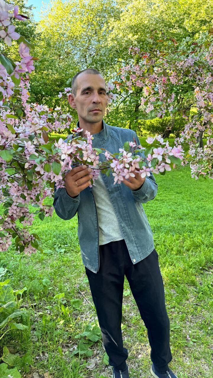 ���������� ������������, ���� ������� ������, 44 ����, ������������ ��� ������, ����� � ���������