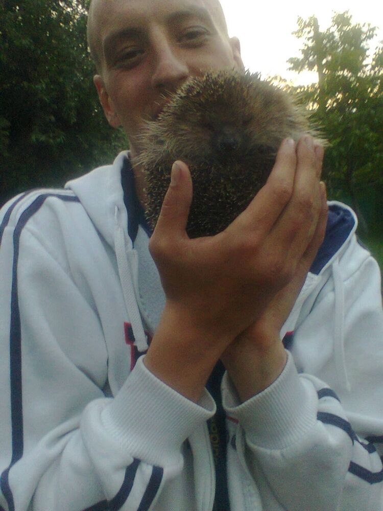 ���������� ��������, ���� ������� �������, 38 ���, ������������ ��� ������, ����� � ���������, c�������� ���������