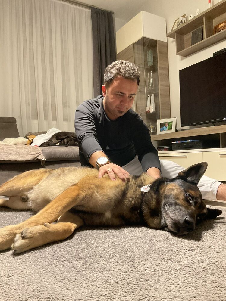 ���� 51760947 ������� Murat, 36 ���, ���� ���������� � Rosengarten