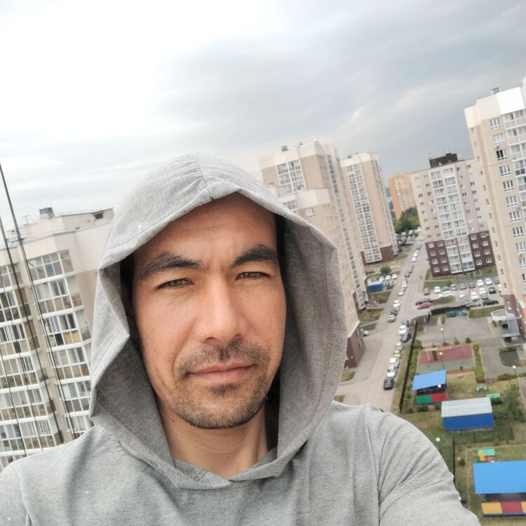  36533547  , 36 ,    
