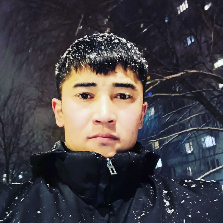 ���� 25267507 ������� ����, 33 ����, ���� ���������� � ������������