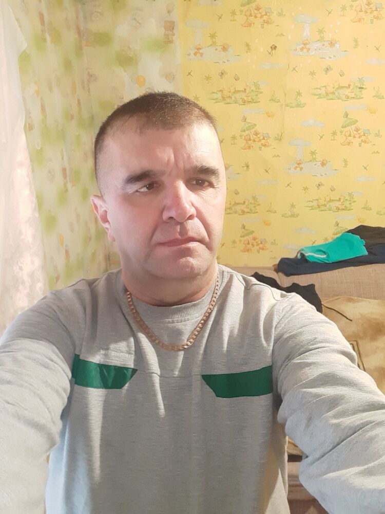  43081497  , 39 ,    
