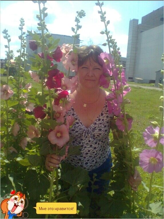 ���� 9295857 ������� ������, 62 ����, ���� ���������� � ������