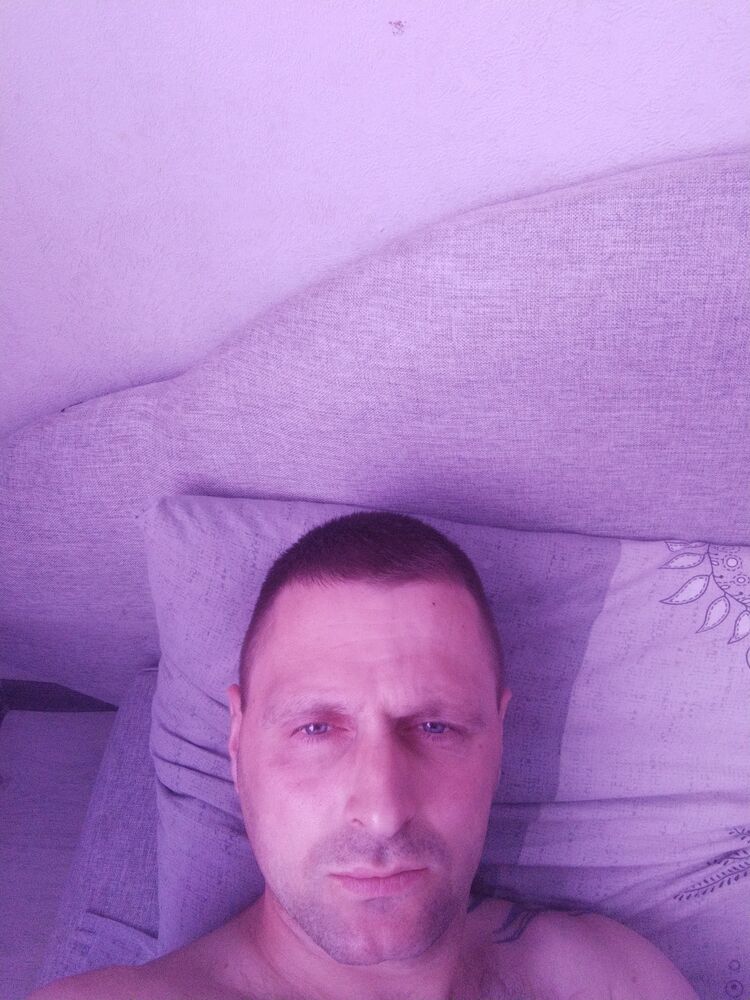  43339197  , 38 ,    