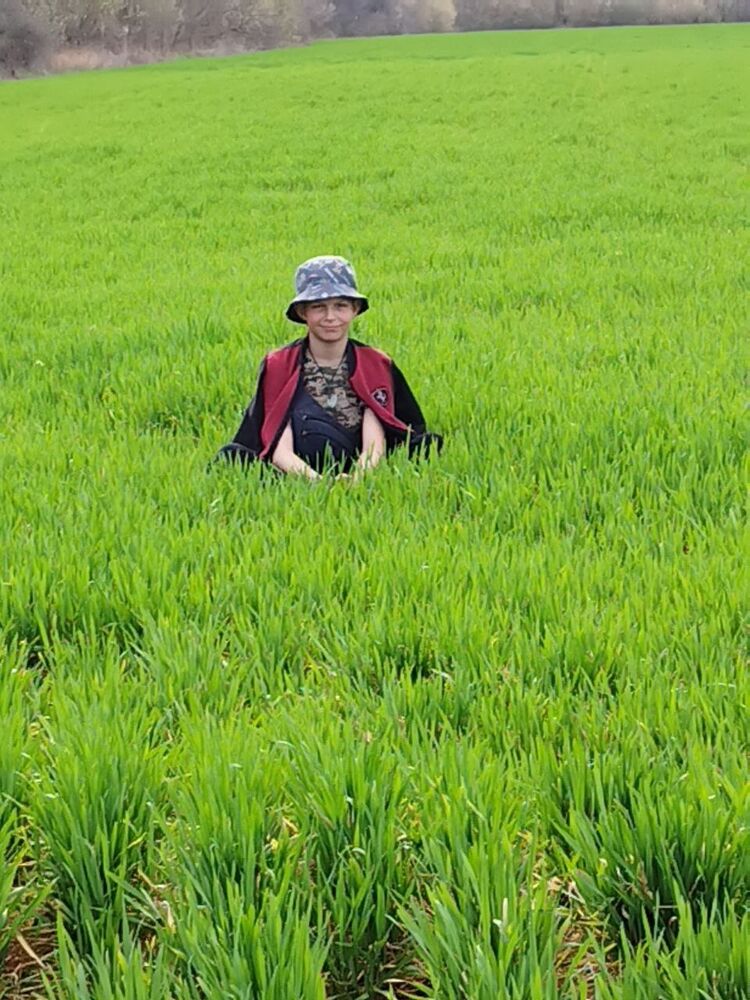 ���� 55088457 ����� ������, 18 ���, ���� ���������� � ������