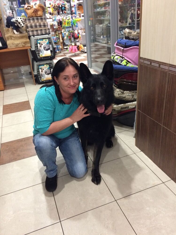 ���� 41726087 ������� �����, 46 ���, ���� ���������� � �����-����������