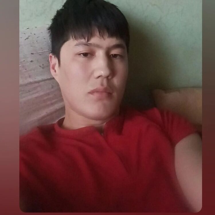  52885177  , 24 ,    