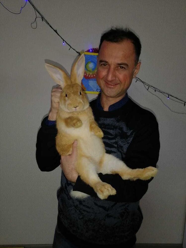 ���������� ������������, ���� ������� �����, 45 ���, ������������ ��� ������, ����� � ���������, c�������� ���������