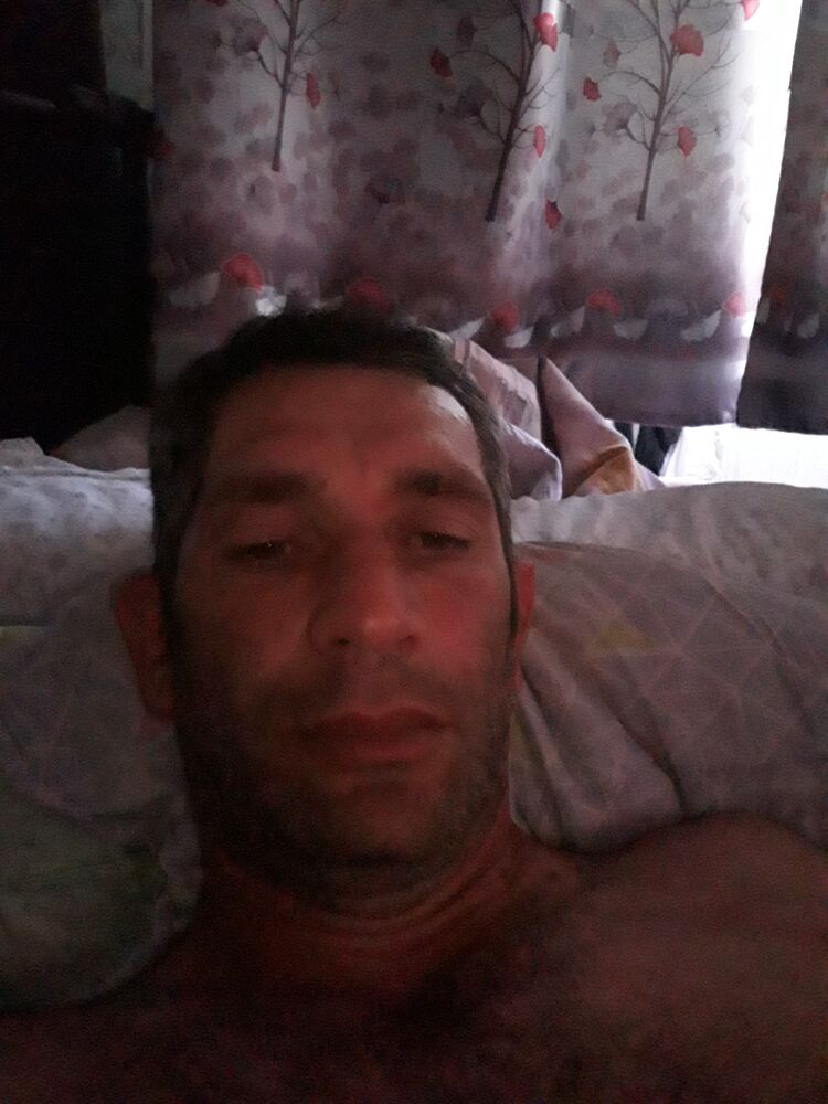 -,   , 46 ,   ,   