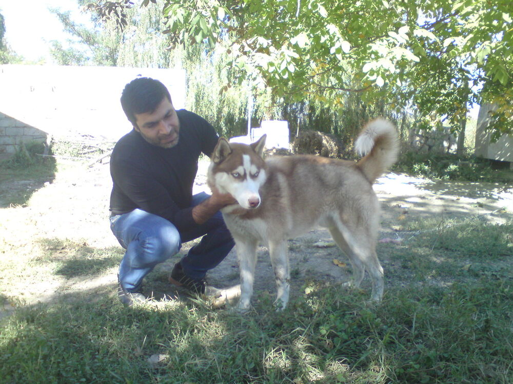  ,   Badri, 47 ,   
