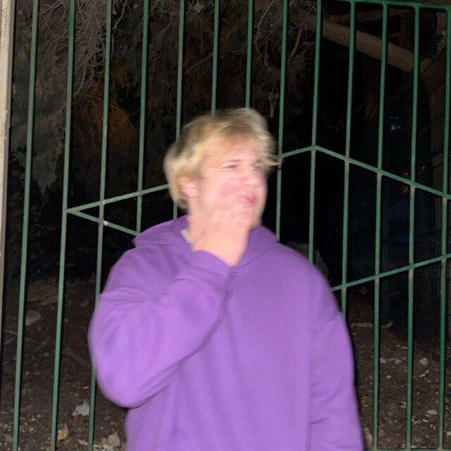 ���������� ������, ���� ����� �����, 19 ���, ������������ ��� ������, ����� � ���������