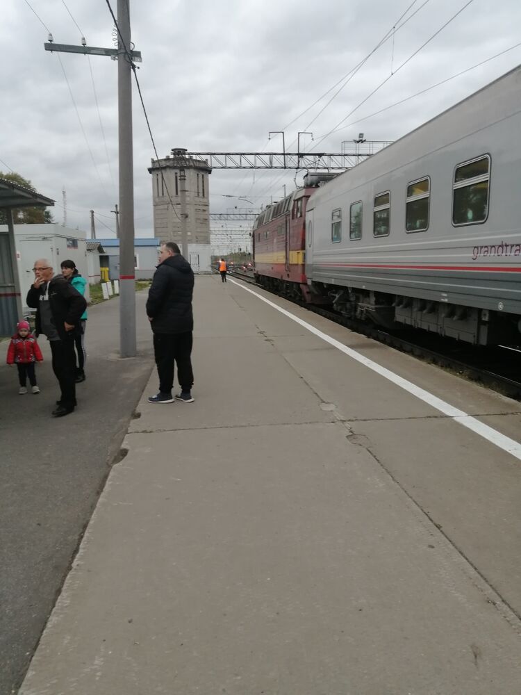 29913147  , 35 ,    