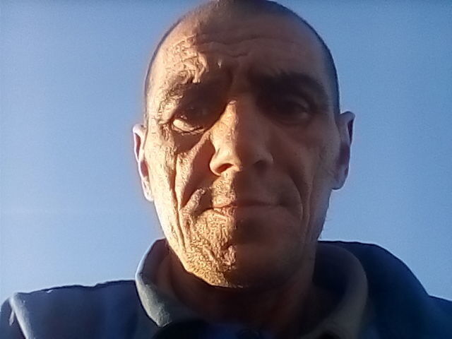  17947637  , 44 ,     