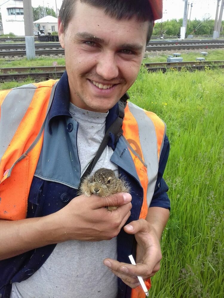 ���� 8222987 ������� ����, 31 ���, ���� ���������� � ����������� �����