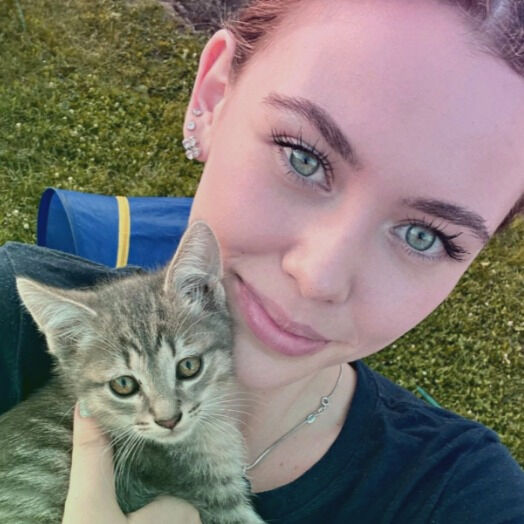 ���� 55892997 ������� �����, 28 ���, ���� ���������� � ����-����������