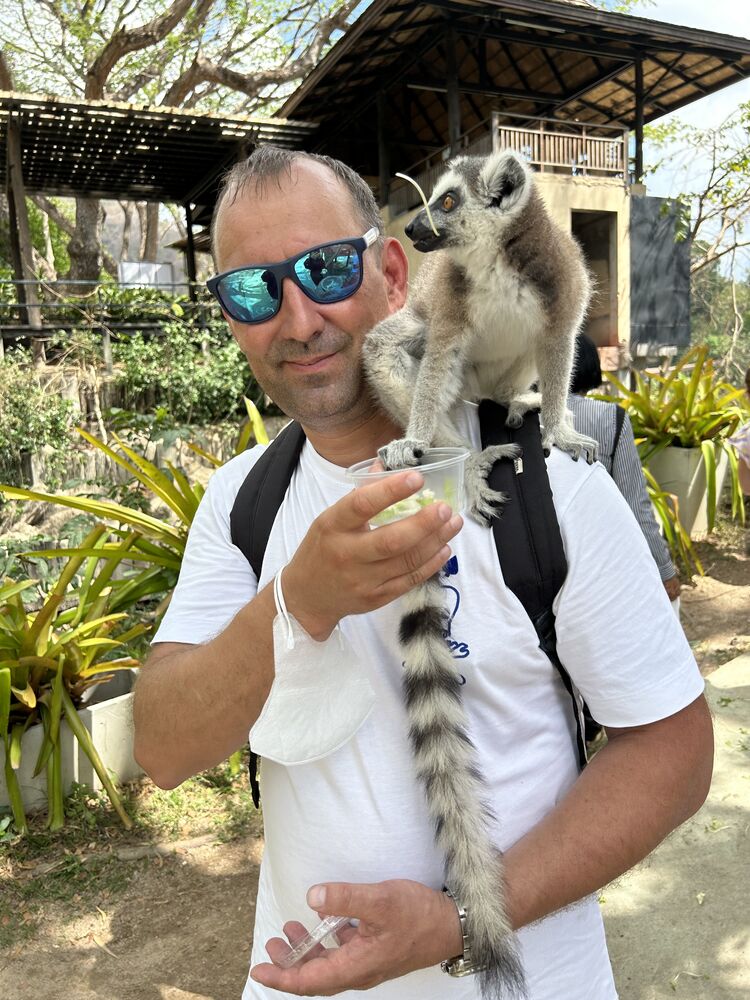  -,   , 44 ,   ,   , c 