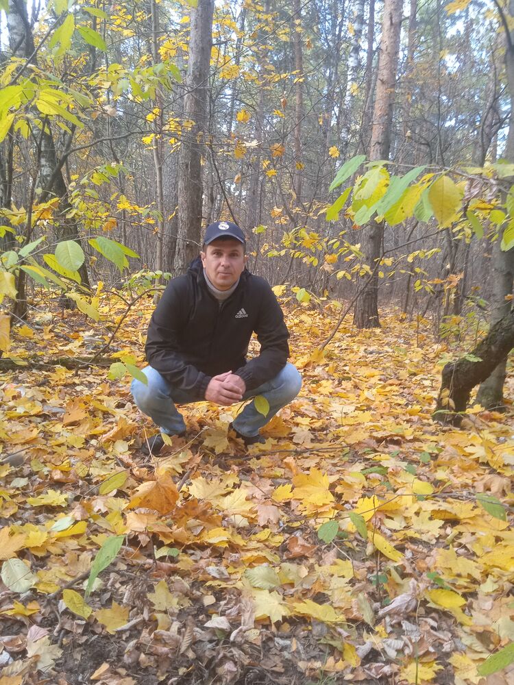 ���������� ���������, ���� ������� �����, 45 ���, ������������ ��� ������, ����� � ���������