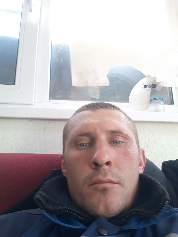  15817047  , 36 ,    