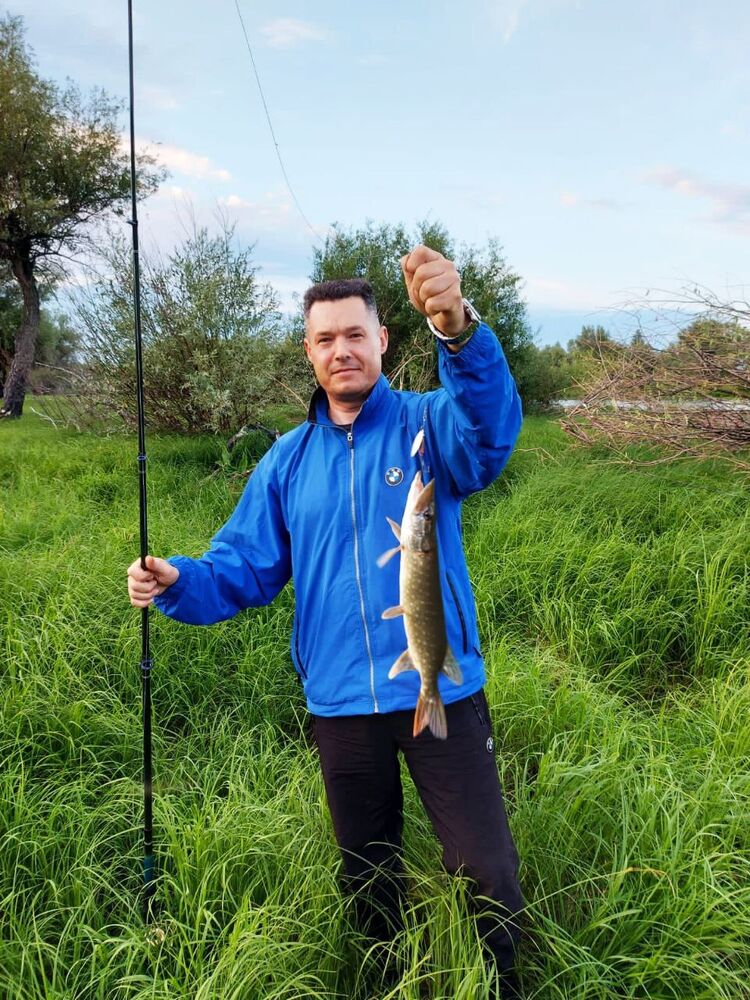  ,   Graf, 48 ,   ,   