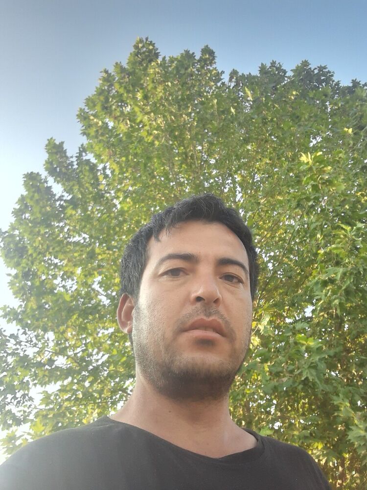  21216067  , 41 ,    