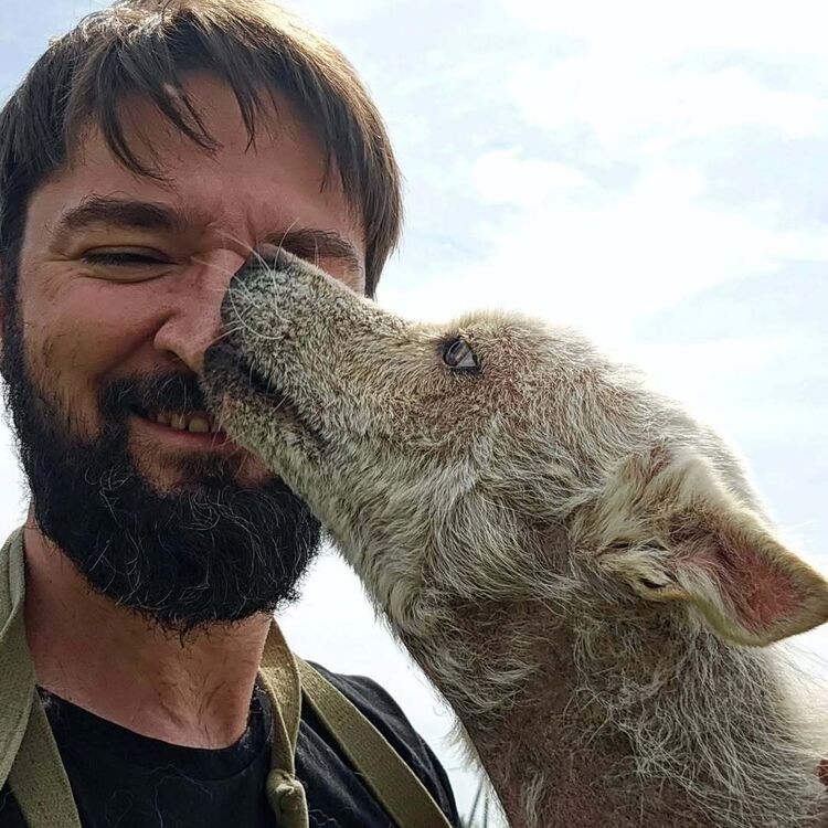 ���� 55122427 ������� �������, 33 ����, ���� ���������� � �������