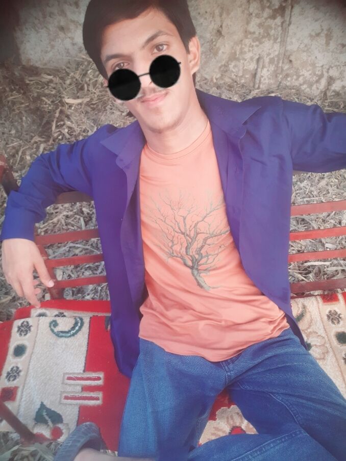  53256887  , 19 ,    