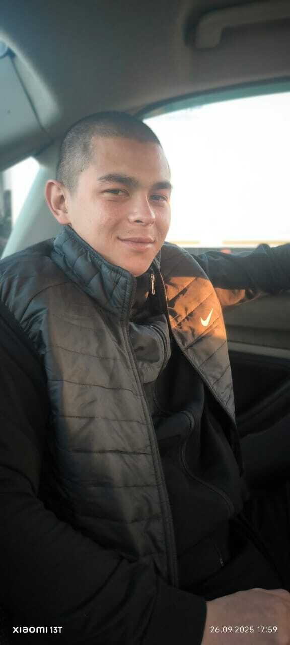  53932347  , 26 ,    --