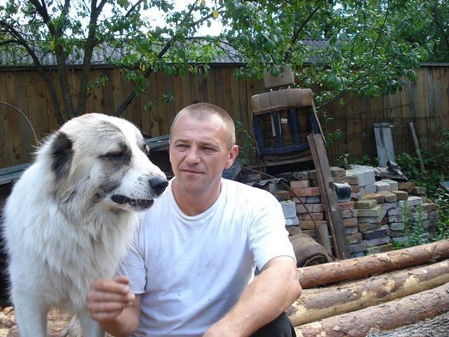  ,   , 55 ,   