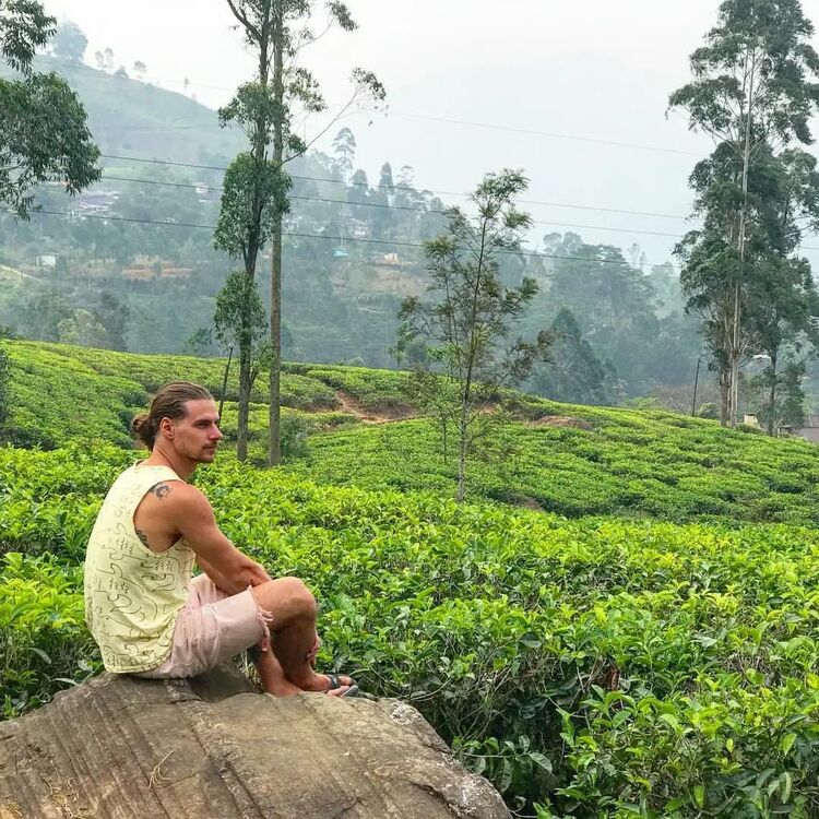 ���������� ������, ���� ������� �������, 38 ���, ������������ ��� ������, ����� � ���������, c�������� ���������