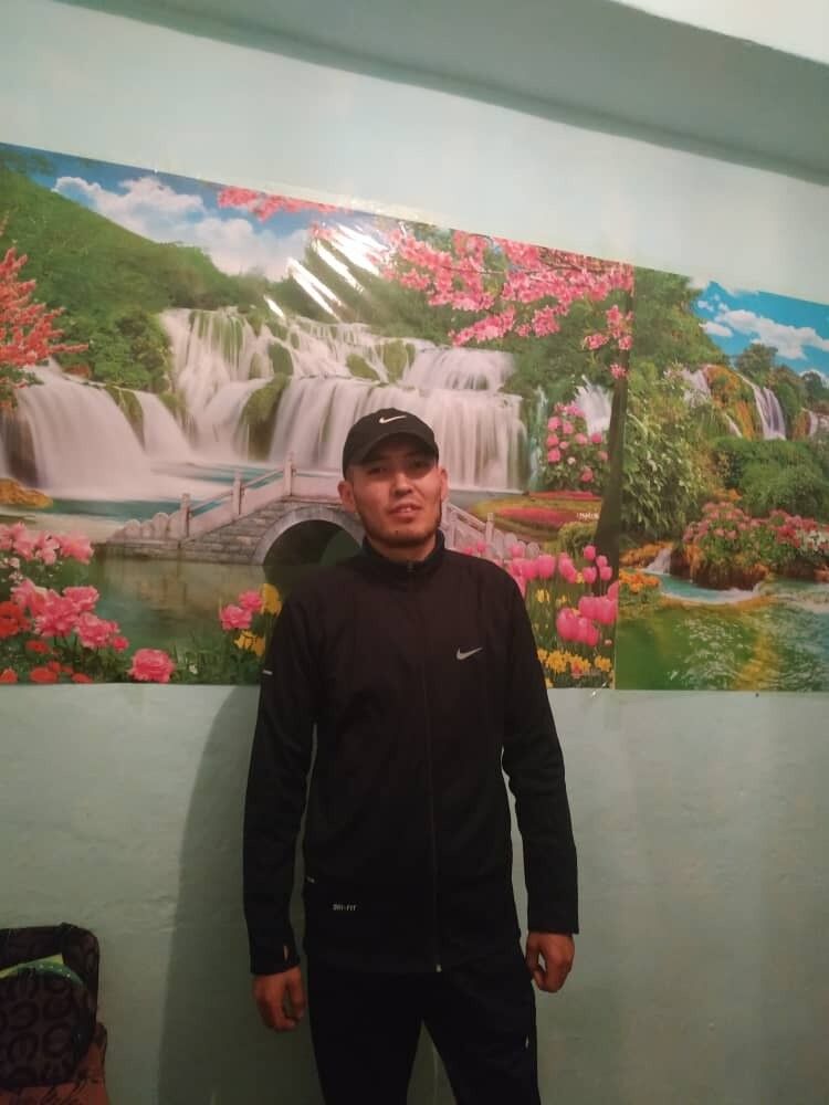 17675177  , 36 ,    