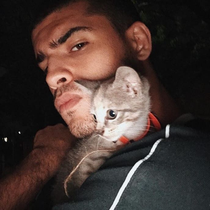 ���� 31134817 ������� ����, 28 ���, ���� ���������� � ������