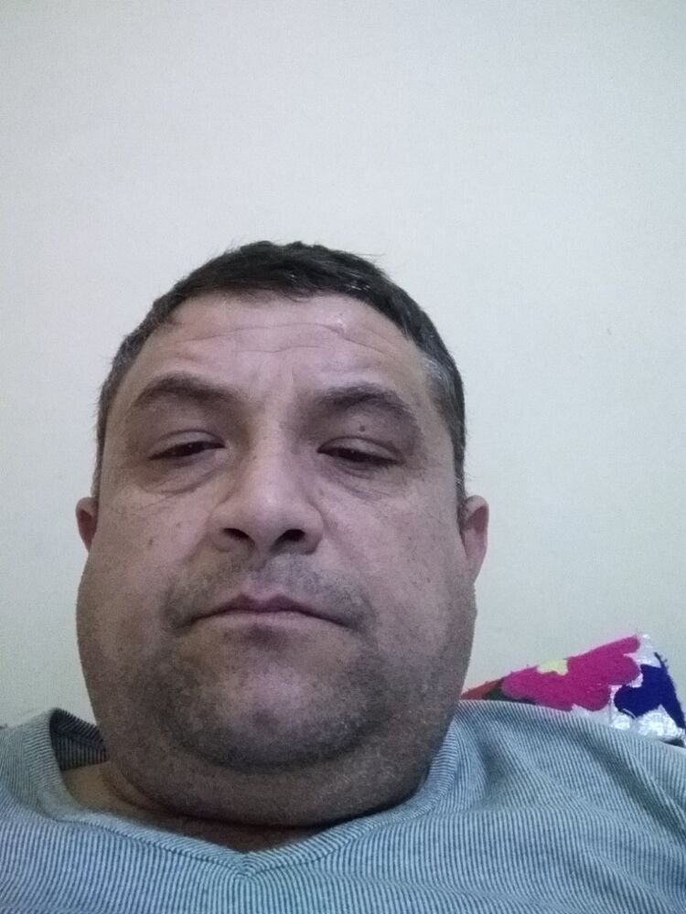  40621217  , 43 ,    