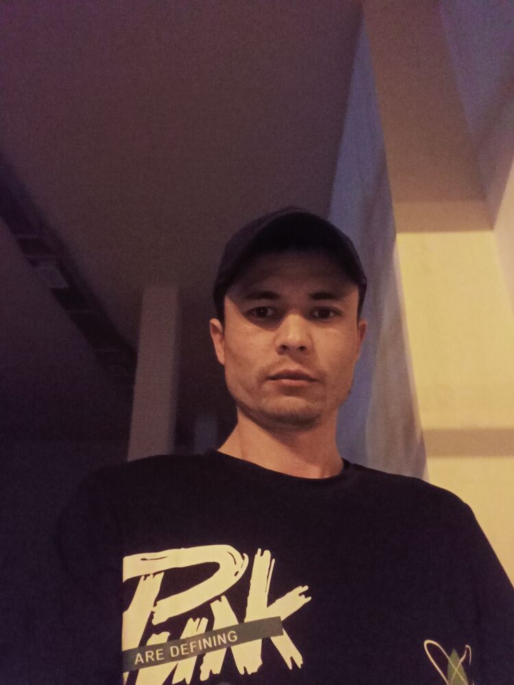  50831537  , 20 ,    
