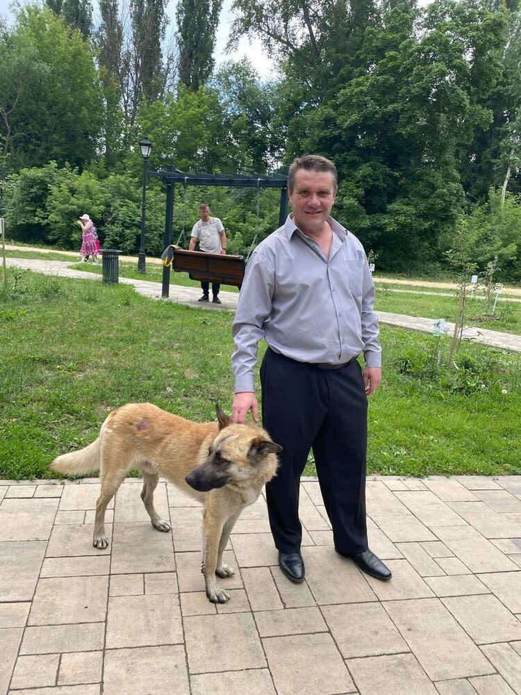 ���� 44893377 ������� �������, 50 ���, ���� ���������� � ������