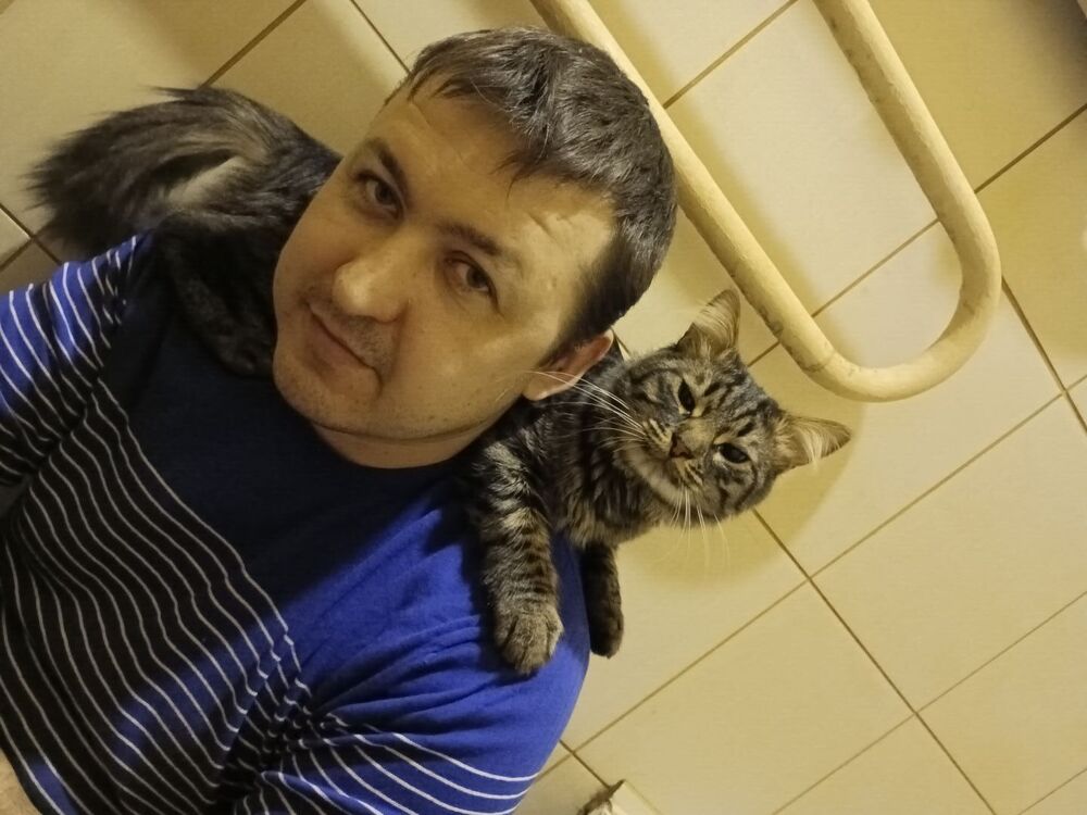 ���� 48678357 ������� �����, 41 ���, ���� ���������� � ����������