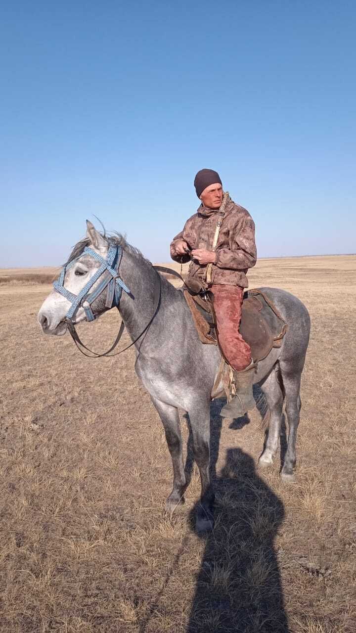  41600967  , 27 ,    