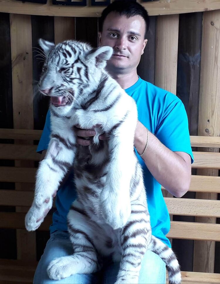 ���������� �����-���������, ���� ������� ˸��, 40 ���, ������������ ��� ����� � ���������, c�������� ���������