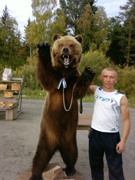 ���� 16826167 ������� �������, 47 ���, ���� ���������� � ��������