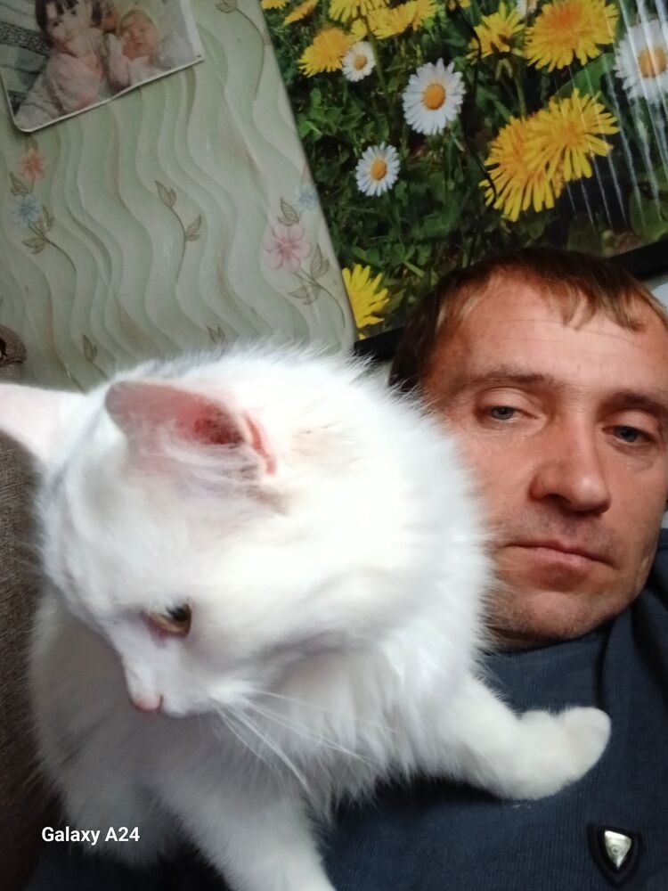  ,   , 41 ,   ,   