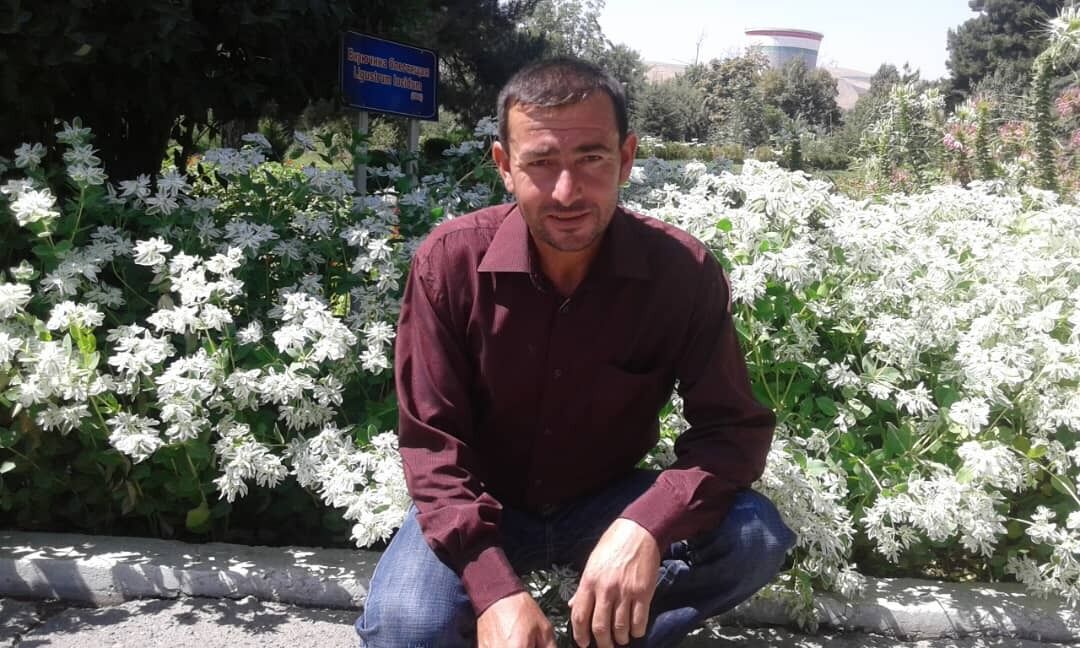  43376167  Fayzullo, 50 ,    