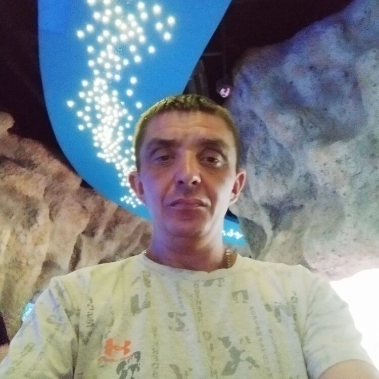 28389187  , 38 ,    