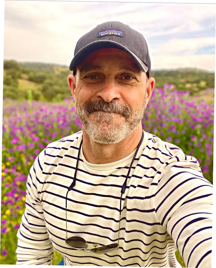 ���� 55240097 ������� �������, 52 ����, ���� ���������� � ������