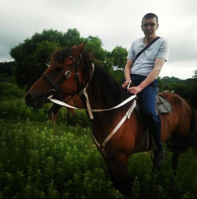 ���� 23935027 ������� �������, 46 ���, ���� ���������� � ����������