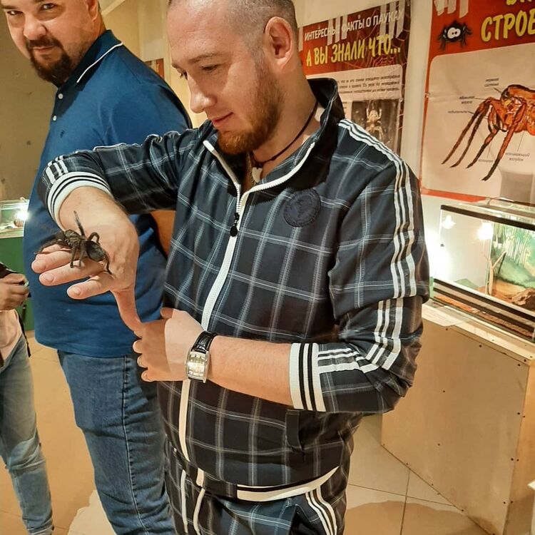  ,   , 37 ,  