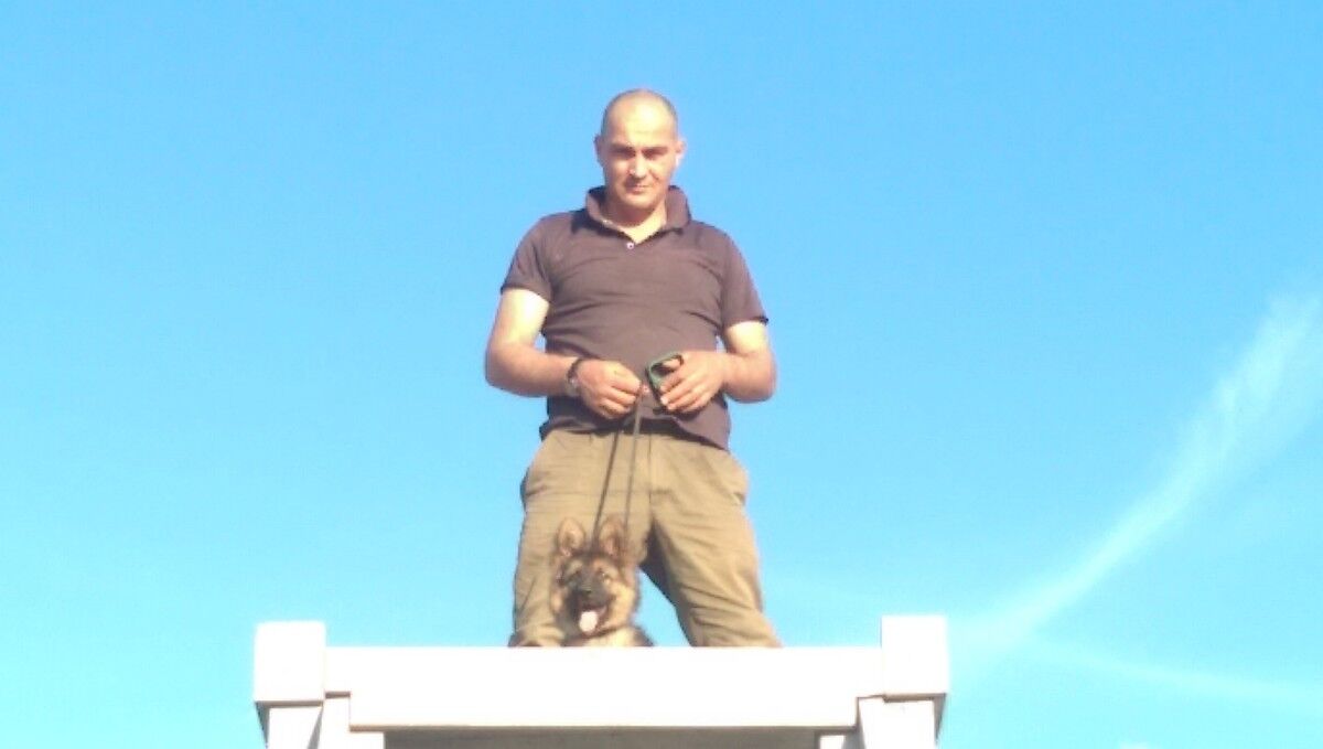 ���������� ����, ���� ������� �����, 44 ����, ������������ ��� ������, ����� � ���������, c�������� ���������