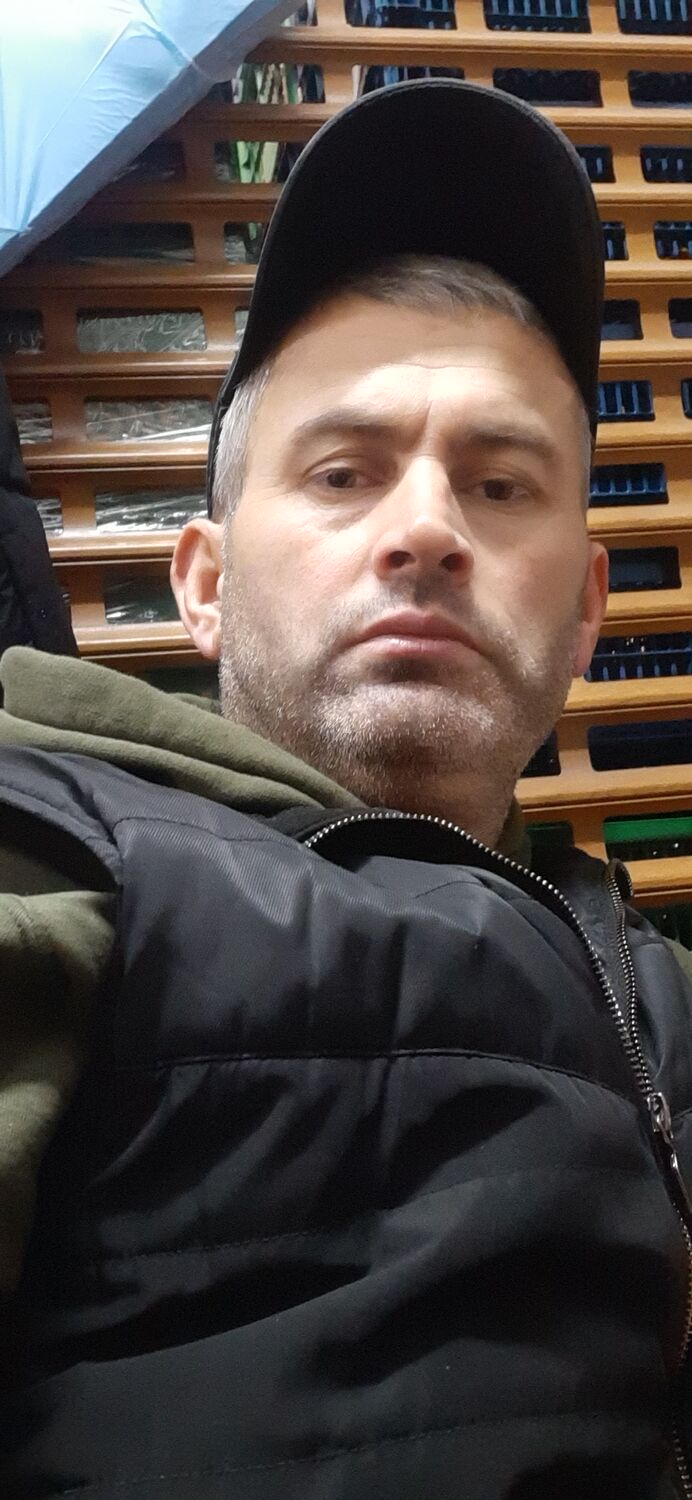  31901477  , 38 ,    