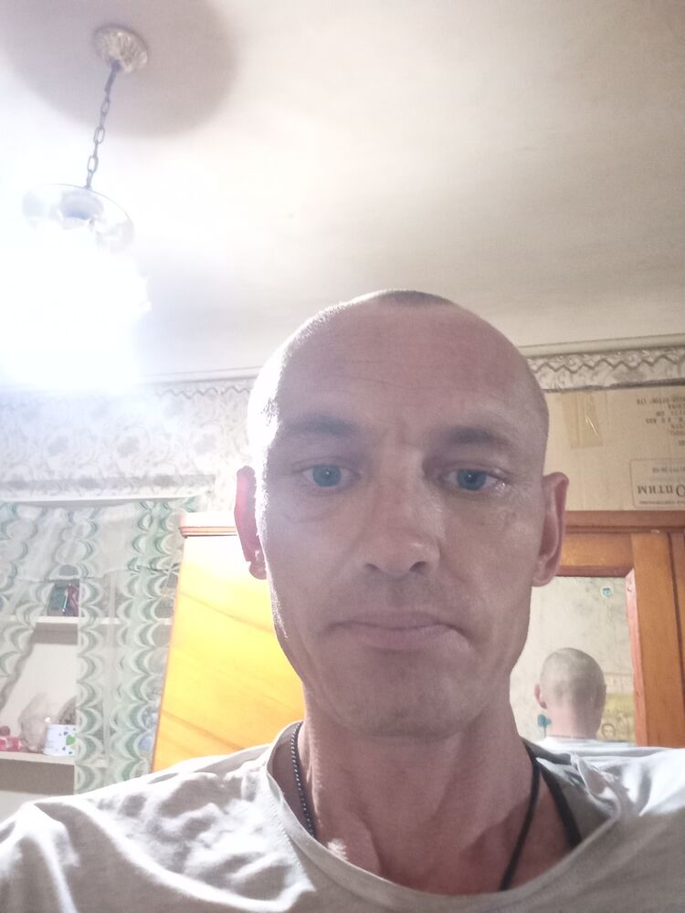  46786397  , 38 ,    