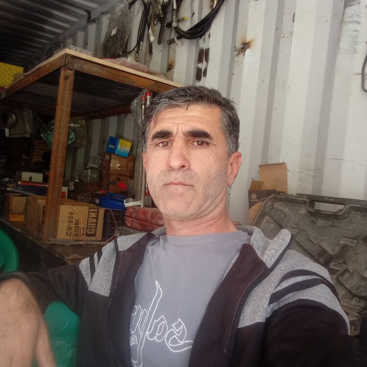  46056577  , 44 ,    