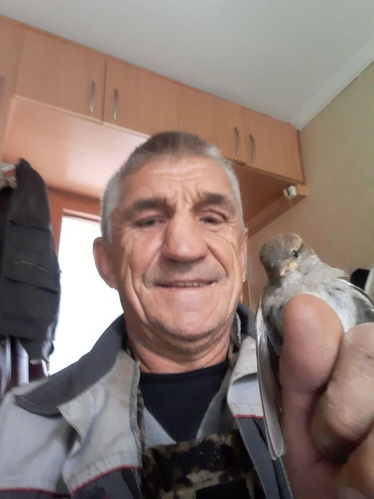  45500937  , 60 ,    